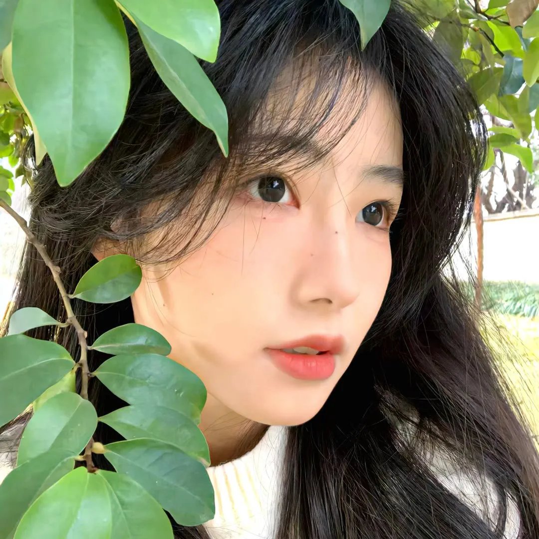 他们她们